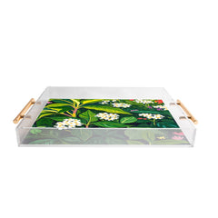 83 Oranges Beneath The Jungle Canopy Acrylic Tray