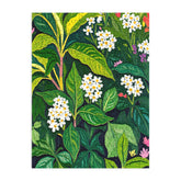 83 Oranges Beneath The Jungle Canopy Puzzle