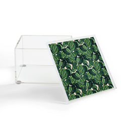 83 Oranges Botany Acrylic Box