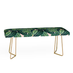 83 Oranges Botany Bench
