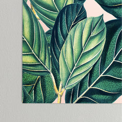 83 Oranges Botany Poster