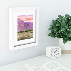 83 Oranges Cactus Sunset Recessed Framing Rectangle