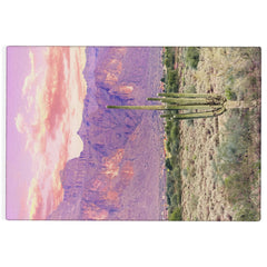 83 Oranges Cactus Sunset Outdoor Rug