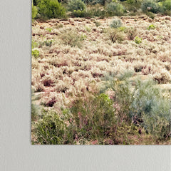 83 Oranges Cactus Sunset Poster