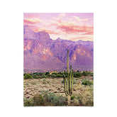 83 Oranges Cactus Sunset Poster