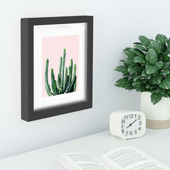 83 Oranges Cactus V6 Recessed Framing Rectangle