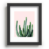83 Oranges Cactus V6 Recessed Framing Rectangle