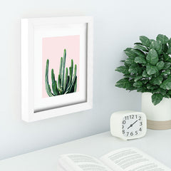 83 Oranges Cactus V6 Recessed Framing Rectangle