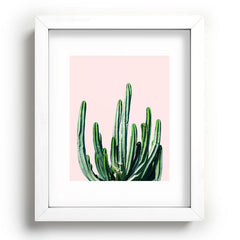 83 Oranges Cactus V6 Recessed Framing Rectangle