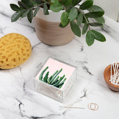 83 Oranges Cactus V6 Acrylic Box