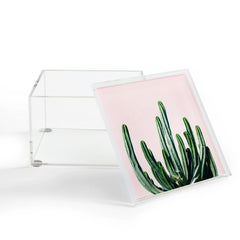 83 Oranges Cactus V6 Acrylic Box