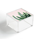 83 Oranges Cactus V6 Acrylic Box