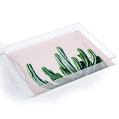 83 Oranges Cactus V6 Acrylic Tray