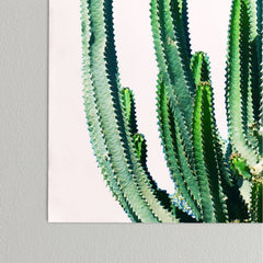 83 Oranges Cactus V6 Poster