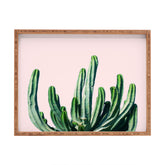 83 Oranges Cactus V6 Rectangular Tray