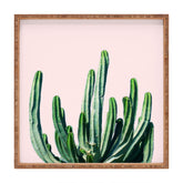 83 Oranges Cactus V6 Square Tray