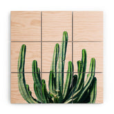 83 Oranges Cactus V6 Wood Wall Mural