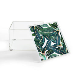 83 Oranges Edge and Dance Acrylic Box