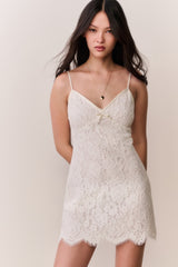 Petaline Lace Mini Dress