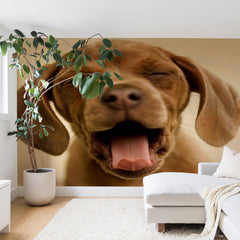 1 Create Your Own Custom Wall Mural