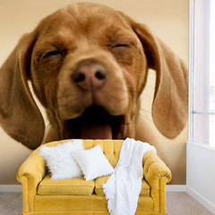 1 Create Your Own Custom Wall Mural