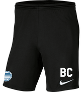 HELLENIC AC Men's Nike Dri-FIT Park 3 Shorts HELLENIC AC Nike Club Zone