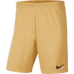 Mens Park 3 Short (BV6855-729) Teamwear Nike