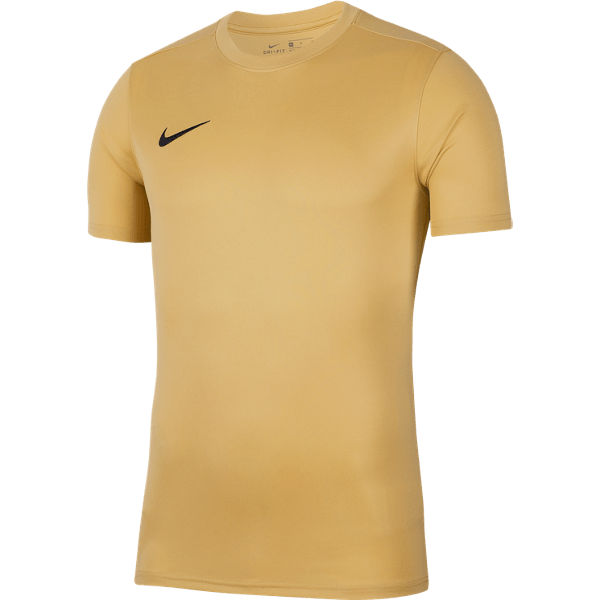 Men's Park VII Jersey (BV6708-729) Teamwear Nike