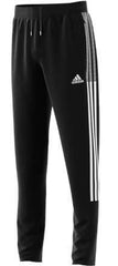 Tiro 21 Track Youth Pants Teamwear Adidas