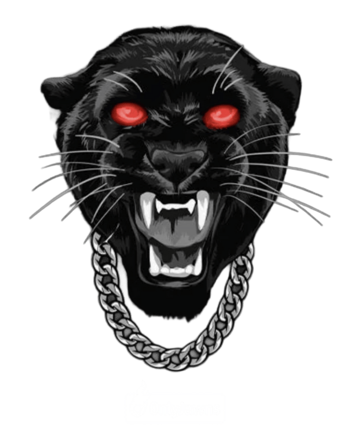Jordan 11 BRED Panther - Original Jawns - Black T-Shirt - T-Shirt - Jawns on Fire Sneakers & Shoes