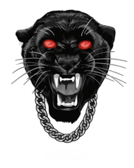 Jordan 11 BRED Panther - Original Jawns - Black T-Shirt - T-Shirt - Jawns on Fire Sneakers & Shoes