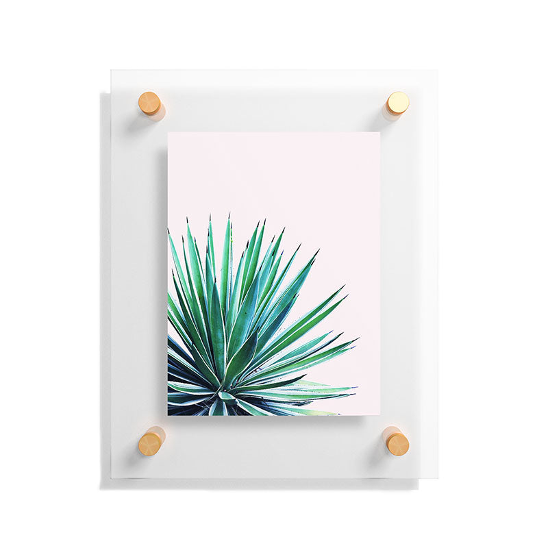 83 Oranges Agave Love Floating Acrylic Print
