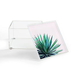 83 Oranges Agave Love Acrylic Box