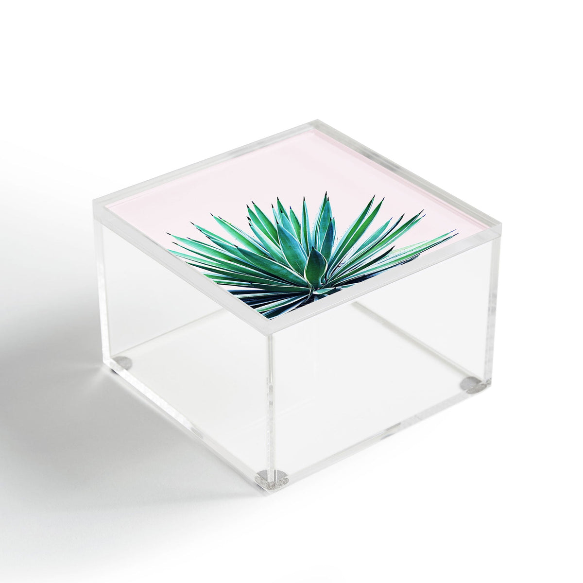 83 Oranges Agave Love Acrylic Box