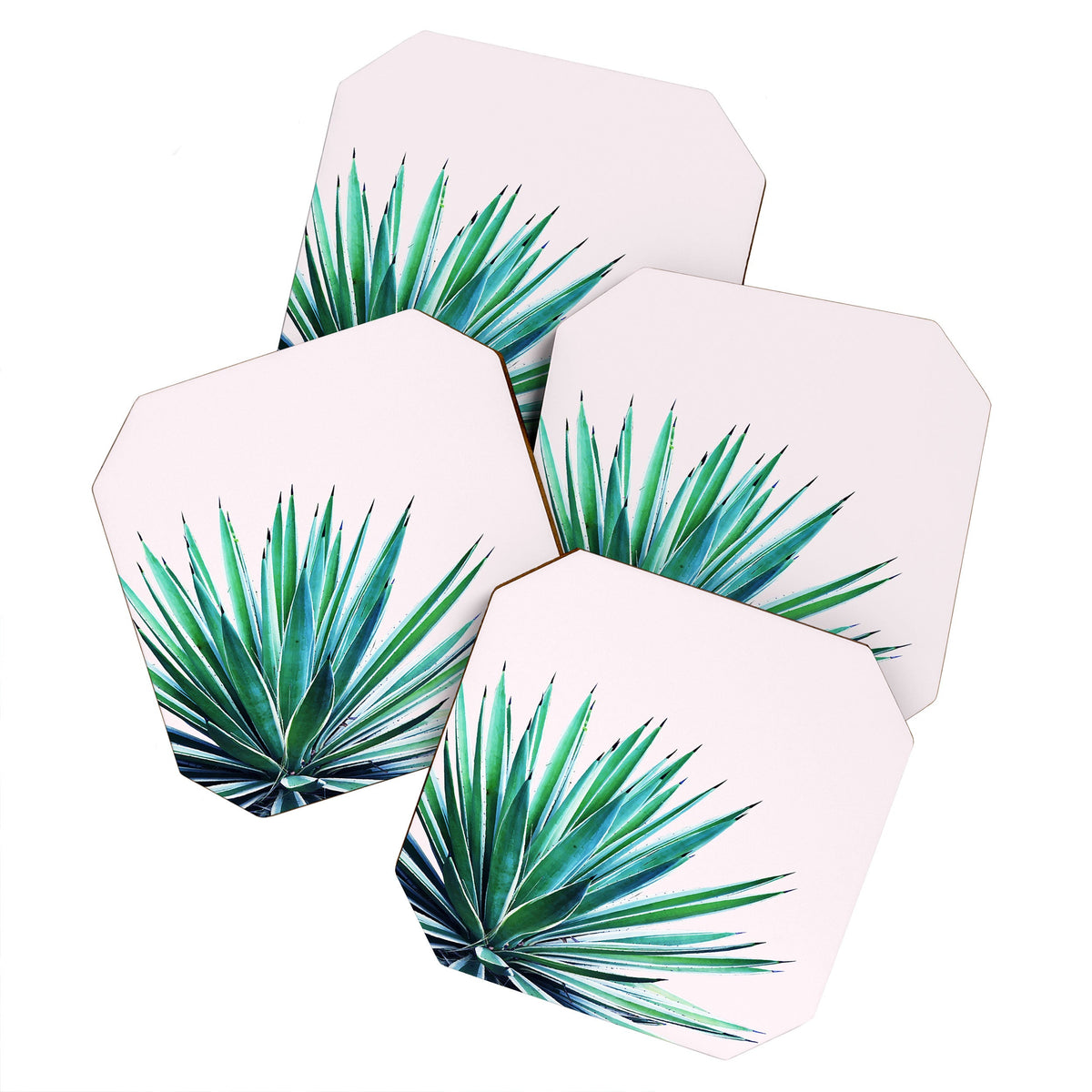 83 Oranges Agave Love Coaster Set