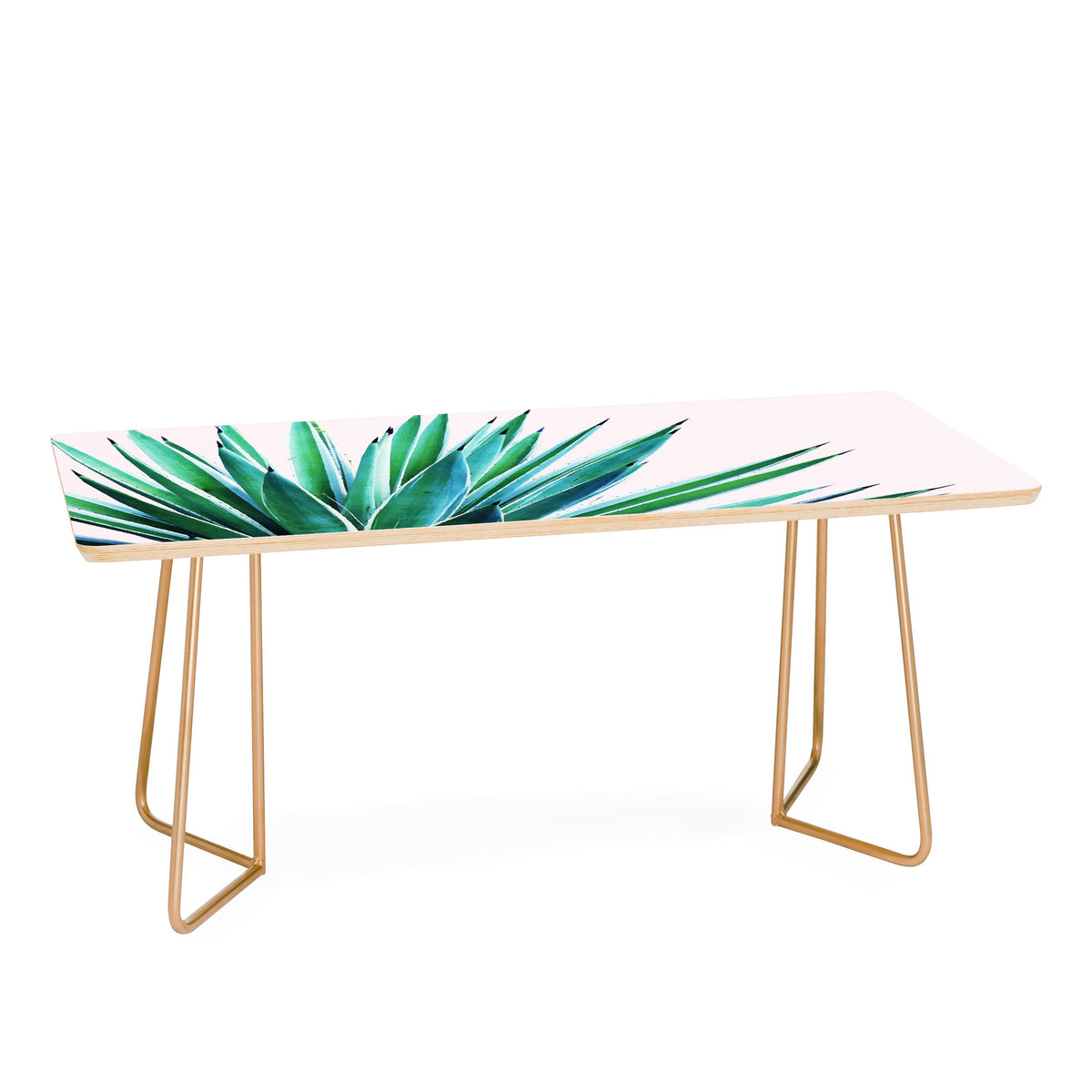 83 Oranges Agave Love Coffee Table