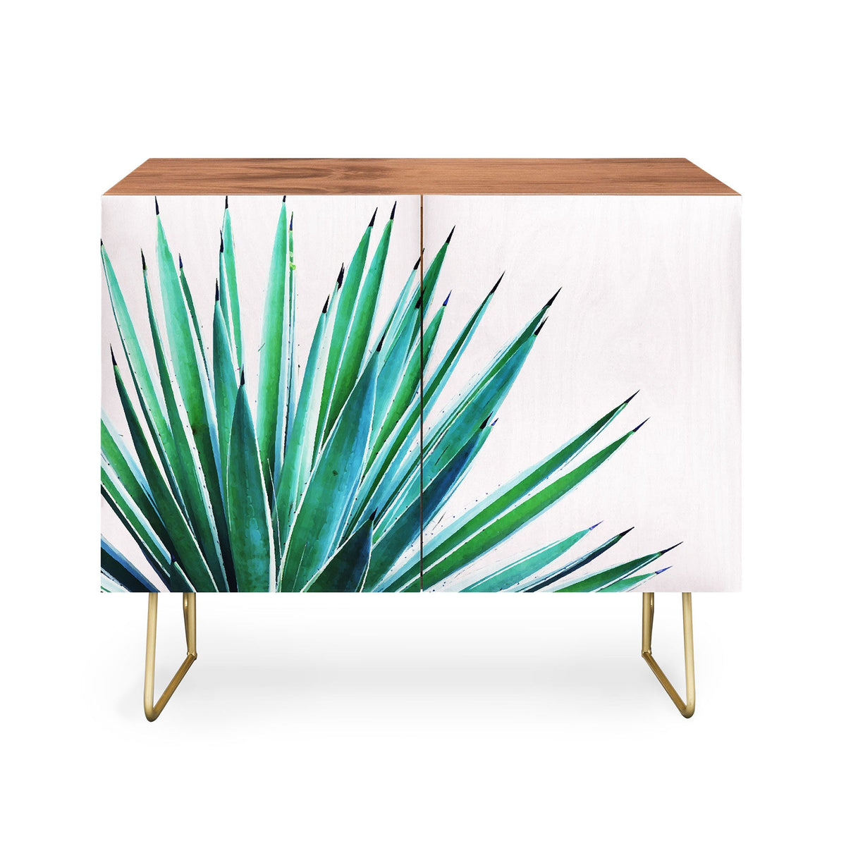 83 Oranges Agave Love Credenza