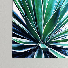 83 Oranges Agave Love Poster
