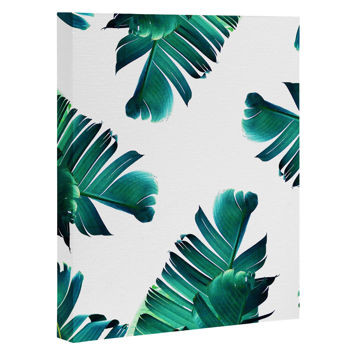 83 Oranges Banana Leaf Crush Art Canvas