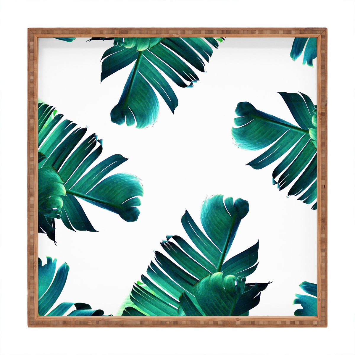 83 Oranges Banana Leaf Crush Square Tray