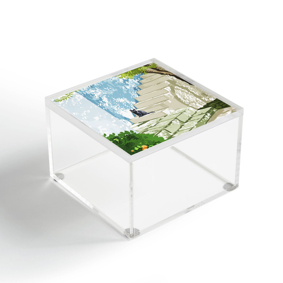 83 Oranges Being a person Acrylic Box