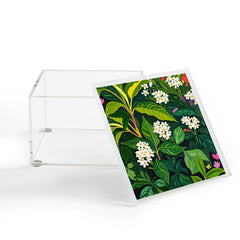 83 Oranges Beneath The Jungle Canopy Acrylic Box