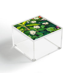 83 Oranges Beneath The Jungle Canopy Acrylic Box
