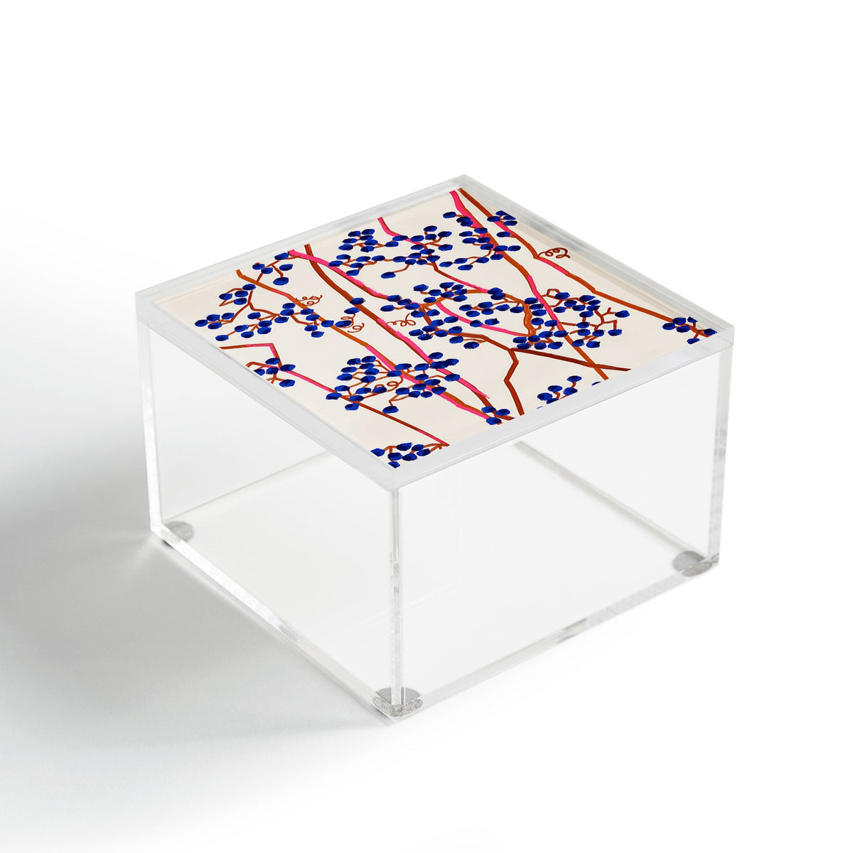 83 Oranges Berry Summer Acrylic Box