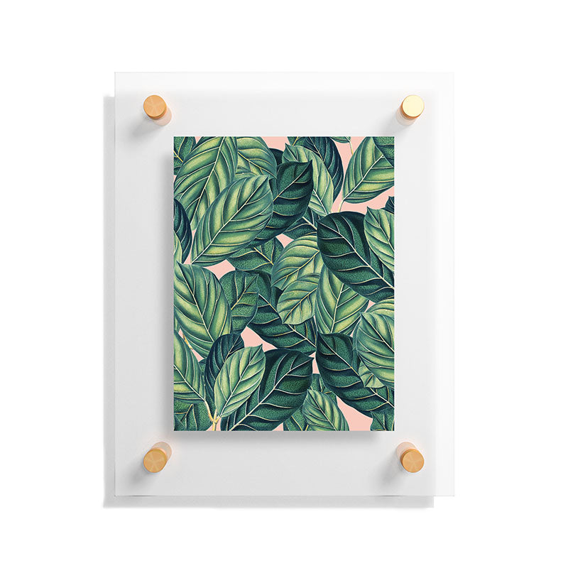 83 Oranges Botany Floating Acrylic Print