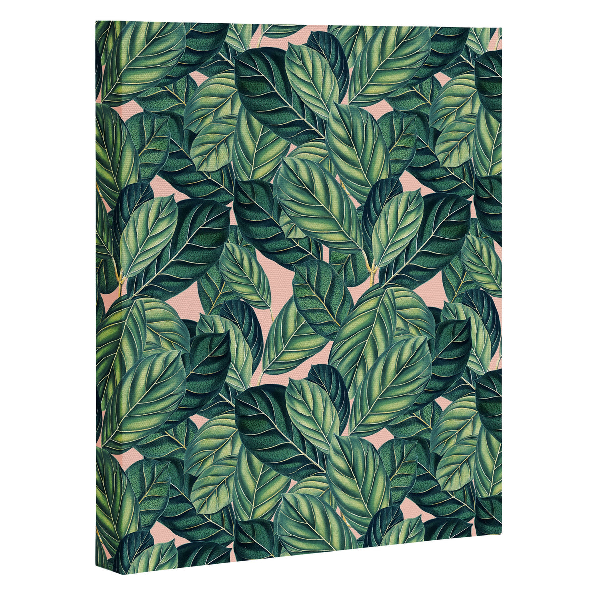 83 Oranges Botany Art Canvas