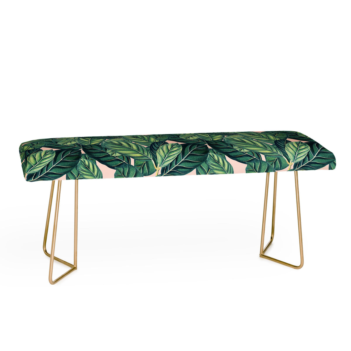 83 Oranges Botany Bench