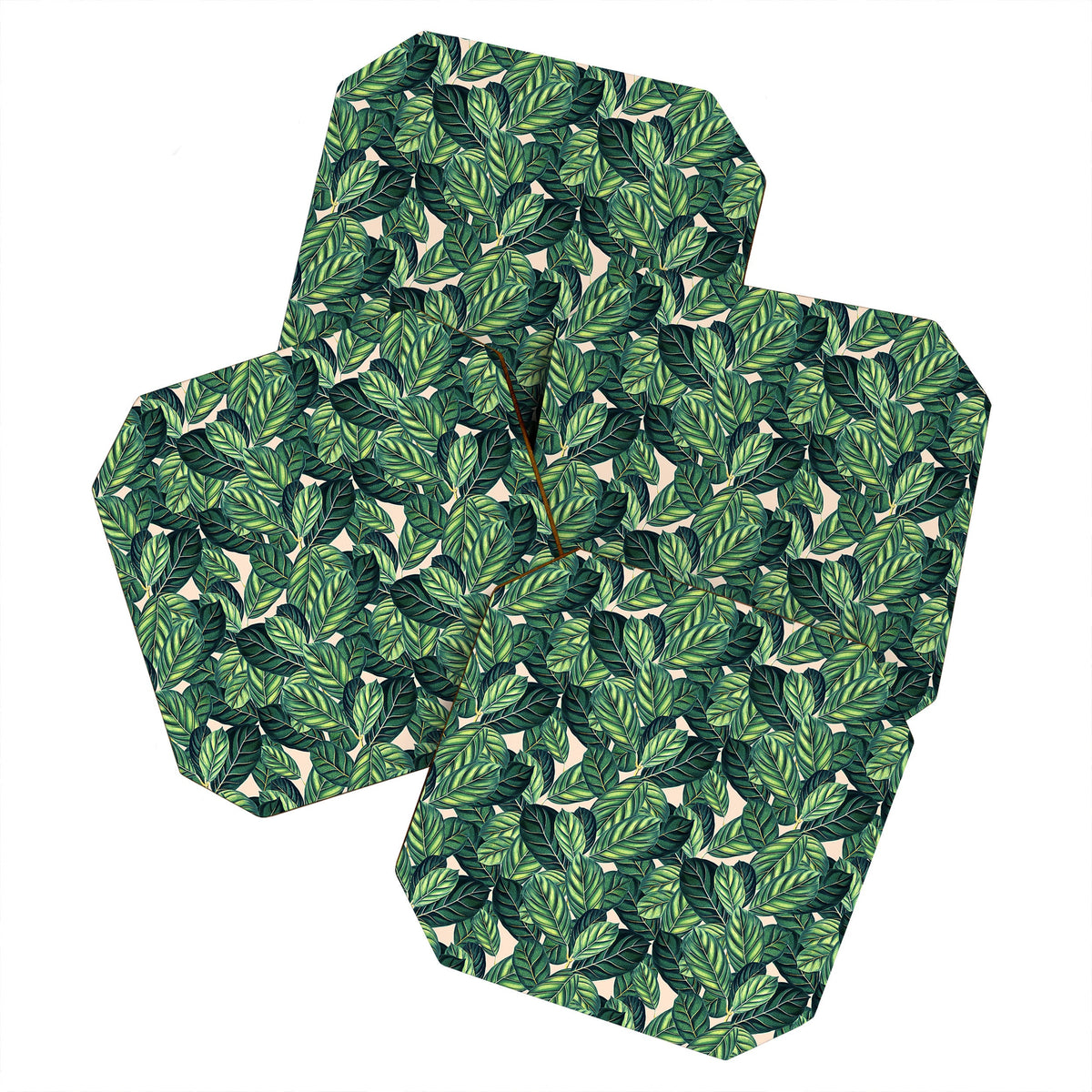 83 Oranges Botany Coaster Set