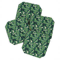 83 Oranges Botany Coaster Set
