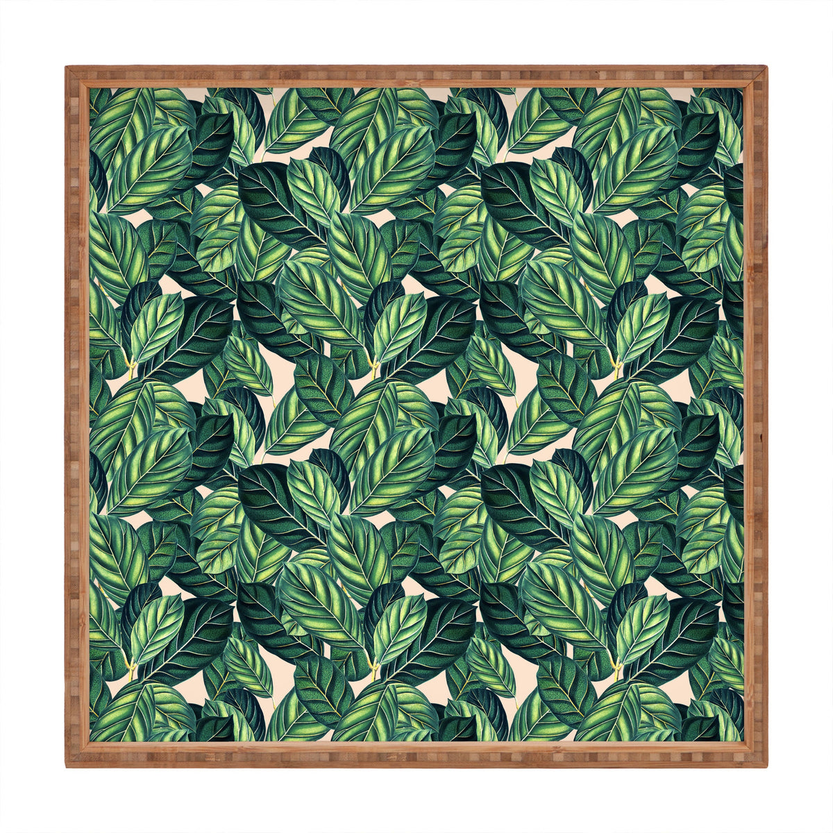 83 Oranges Botany Square Tray